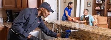 Trusted Montague, MI Pest Control Experts